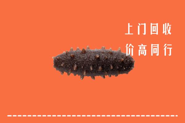 高价求购：福州市福清市回收海参