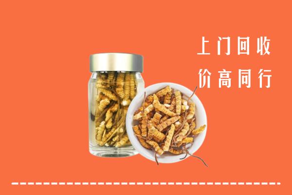 福州市福清市回收冬虫夏草