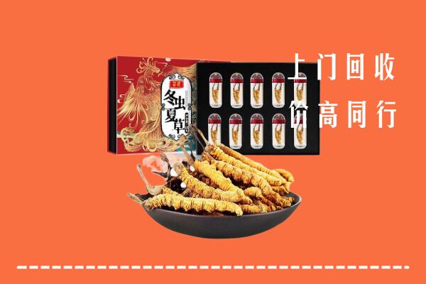 福州市福清市回收虫草